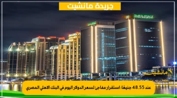 عند 48.55 جنيهًا استقرار مفاجئ لسعر الدولار اليوم في البنك الأهلي المصري 1
